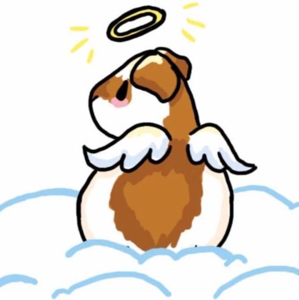 Meet your Posher, Jen